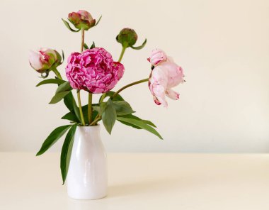 Beyaz bir seramik vazonun fotoğrafı, açık sarı arka planda, yemyeşil yapraklı beş pembe ve beyaz şakayık buketi barındırıyor..