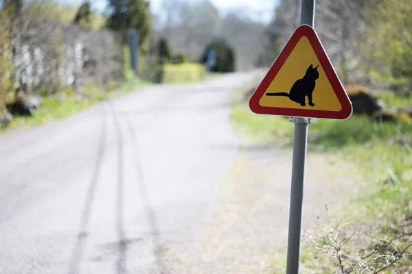 고양이가 있는지 살피기 도로에 표시를 스웨덴의 지역에서는 자동차 운전자들에게 이웃에 — 스톡 사진