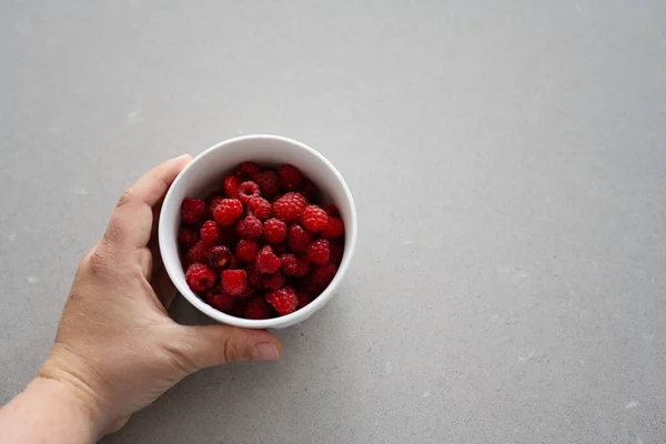 手拿着一碗红覆盆子 新鲜的野生覆盆子收获后放在一个白色的碗里 照片来自瑞典 — 图库照片