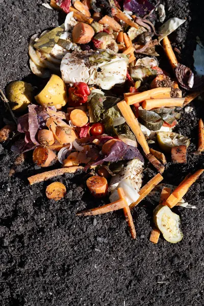 在花园床的土壤中加入了密闭的Bokashi堆肥 预先发酵的食物废物进一步分解为富含营养物质的土壤 用于有机园艺 照片来自瑞典 — 图库照片