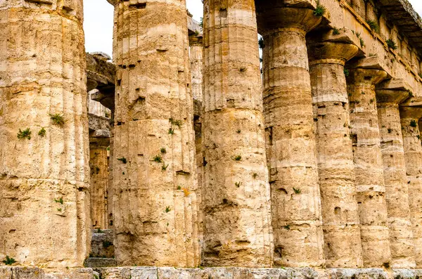 赫拉二世圣殿多利克柱廊 Doric Colonnade Hera Temple 又称海王星圣殿 Temple Neptune 是意大利帕埃斯特姆的一座希腊神庙 — 图库照片