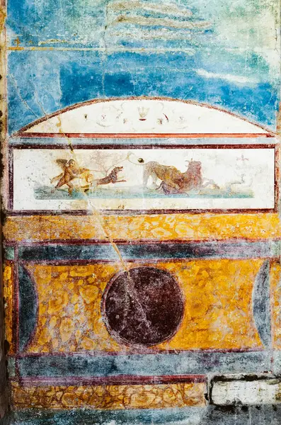 Narcissus Fresco Yellow Wall House Ancient Pompeii Buried Volcanic Eruption — Stock Photo, Image