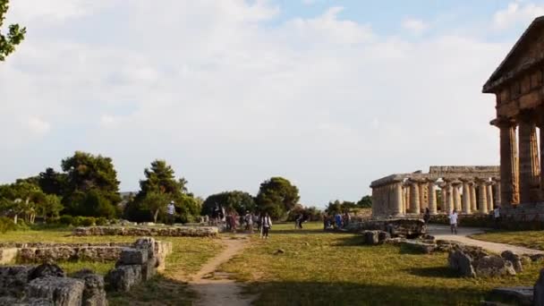 Храм Геры Называемый Храм Нептуна Является Греческим Храмом Пестуме Италия — стоковое видео