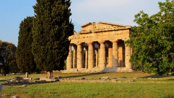 Hera Templom Más Néven Neptunusz Temploma Egy Görög Templom Paestumban — Stock videók