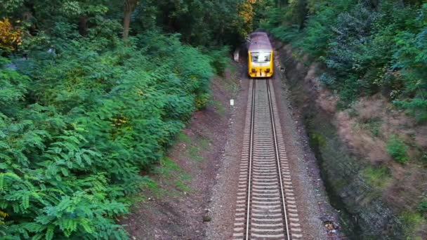 上からの眺めスローモーション橋の下にある鉄道の美しい森に旅客列車が乗っています 高品質のフルHd映像 — ストック動画