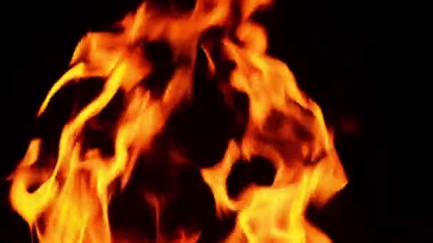 Hořící Oheň Izolovaný Tmavém Černém Pozadí Vysoce Kvalitní Fullhd Záběry — Stock video