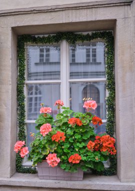 Pencerenin dışındaki eski püskü sepetin içindeki cam kenarındaki tuğla sarısı duvarın yakın görüntüsü. 