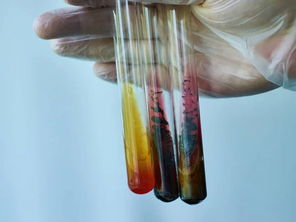 Various of Bacteria culture medium test tube microbiology laboratory test. High quality photo