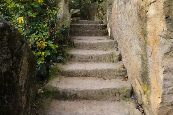 Old stone stairs steps historical ancient places vegetation on side . High quality photo