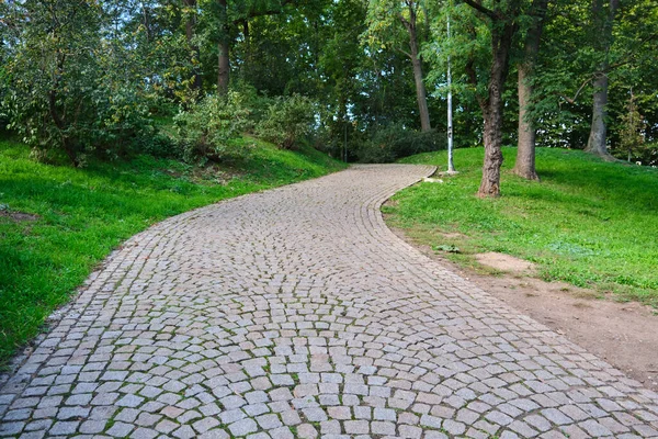 Park yolu yolu perspektifi eski asfalt. Yüksek kalite fotoğraf