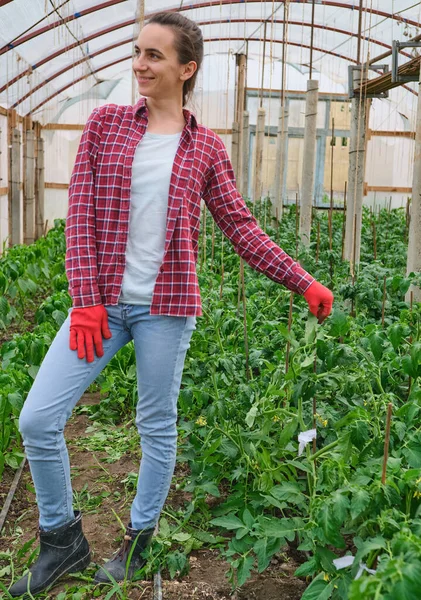 pretty female nursery worker with red Work Gloves portrait in greenhouse. High quality photo