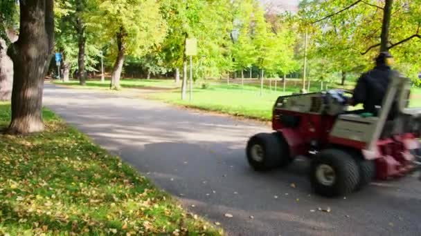 Special Machine Leaf Blower Clean Footpath Public Park High Quality — Vídeos de Stock
