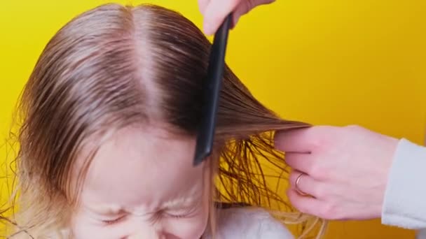 Mother Combs Her Daughters Long Blonde Tangled Hair Close Yellow — Stock Video