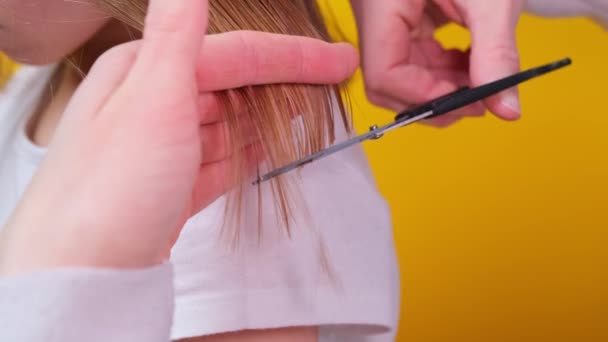 Femme Mère Coupe Les Petites Filles Cheveux Mouillés Longs Cheveux — Video