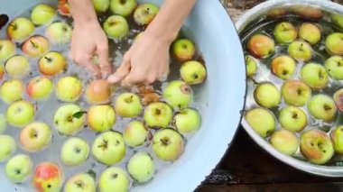Üst düzey kadın elleri paslanmaz çelik bir kasede ev bahçesinden toplanan taze organik kırmızı elmalarla yıkanır. Sonbahar açık hava işi. Yüksek kalite 4k görüntü