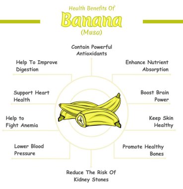 Muz sağlığı illüstrasyondan yararlanır. Yazdırmaya hazır, düzenlemesi kolay, vektör dosyası, kullanmaya hazır.