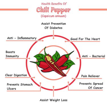 Chili biberi sağlığa iyi gelir. Yazdırmaya hazır, düzenlemesi kolay, vektör dosyası, kullanmaya hazır.