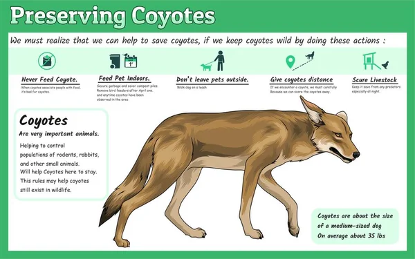 Preserving Coyotes Concept Illustration Preserving Coyotes Wildlife Illustration Vector File — Stock Vector