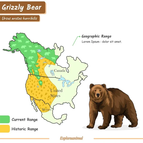 Geografiskt Utbud Grizzlybjörn Från Historisk Till Nuvarande Sortiment Vektor Klar — Stock vektor