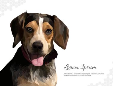 Vector Dog Breed Beagle duvar dekorasyonu fikirleri. Gerçekçi çizim hayvanı. El çizimi köpek beyaz arka planda izole