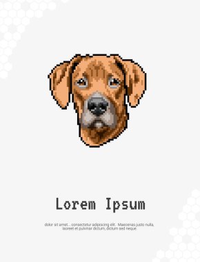 Pixel sanat eseri Dog Breed, Rodezya Ridgeback duvar dekorasyonu fikirlerini süslüyor. Gerçekçi çizim hayvanı. El çizimi köpek beyaz arka planda izole