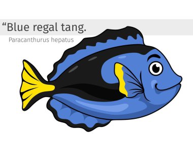 Mavi Regal Tang Çizgi Film Çizimi. Deniz hayvanı izole edilmiş. Hayvan resimleri koleksiyonu. Mavi Kral Tang Çizgi film karakteri