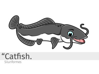 Catfish Çizgi Film Çizimi. İzole edilmiş vahşi yaşam hayvanı. Hayvan resimleri koleksiyonu. Catfish Çizgi Film karakteri