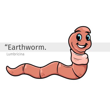 Earthworm Cartoon illustration. wildlife animal isolated. Animal cartoon collection. Earthworm Cartoon character clipart