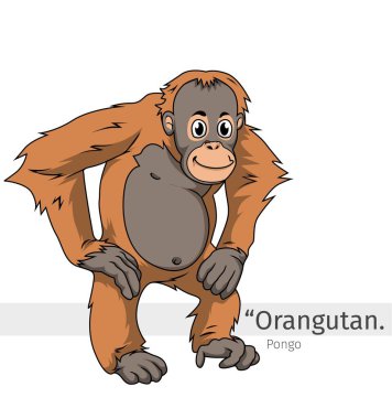 Orangutan Çizgi Film Çizimi. İzole edilmiş vahşi yaşam hayvanı. Hayvan çizgi film koleksiyonu. Orangutan Çizgi Film karakteri