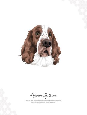 Vector cocker spaniel dog breed wall decor ideas Portrait. realistic animal images. Hand drawn dog isolated. for room decoration, events, etc clipart