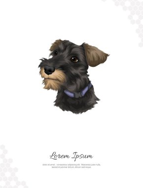 Vector Schnauzer Dog Breed wall decoration ideas Portrait. realistic animal images. Hand drawn dog isolated. for room decoration, events, etc clipart