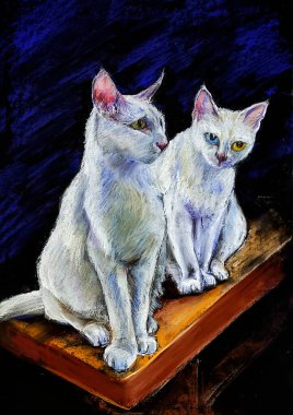 Pastel grafikler. Beyaz kediler geceleri bankta oturuyor.
