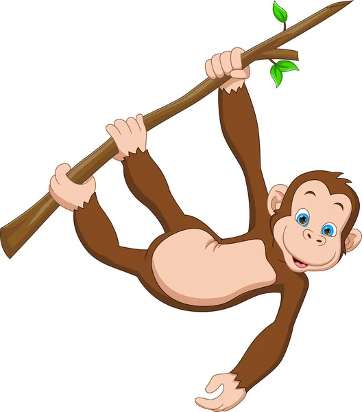 Cartoon Monkey Hanging Tree — Stock Vector