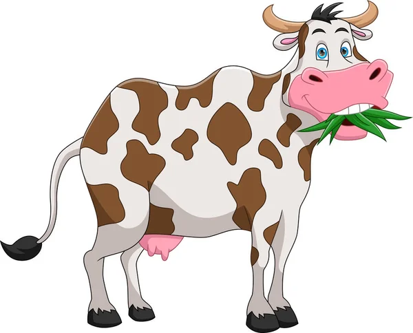 Корова Їсть Траву Мультфільм Білому Тлі — стоковий вектор