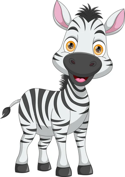 Beyaz Arkaplanda Şirin Zebra Karikatürü — Stok Vektör