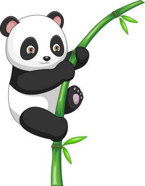 Tatlı bebek panda bambu ağacına tırmanıyor.