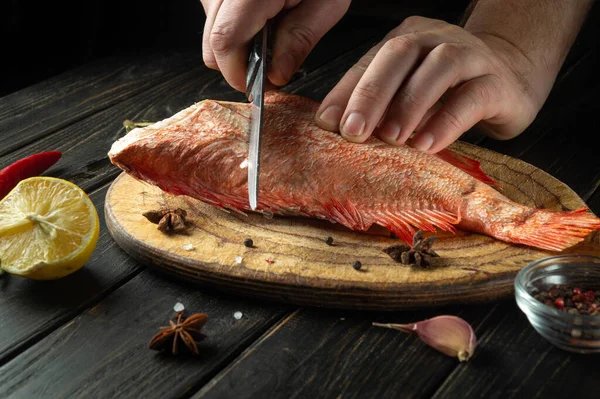The chef cuts raw Sebastes fish on the wooden cutting board of the kitchen. The concept of a delicious red fish lunch for a restaurant or hotel.