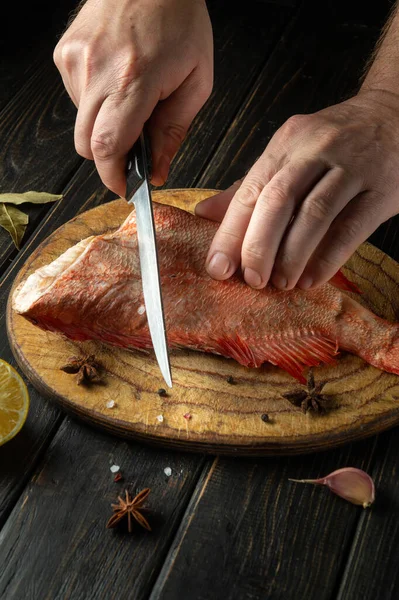 The cook cuts raw Sebastes fish on a kitchen cutting board. Delicious red fish dinner for restaurant or hotel