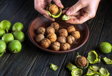 Kurumadan önce yeşil kabuktan ceviz soyan bir adamın yakın çekimi. Evdeki mutfak masasında çalış.