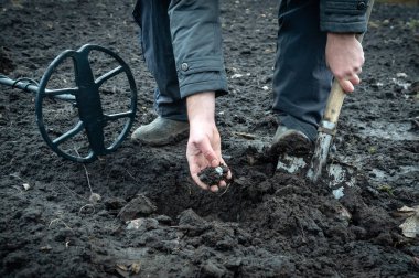A treasure hunter digs up an old coin with a shovel in the field. Metal detector and shovel or ground treasure hunting equipment. Fortune during the antiques hunt