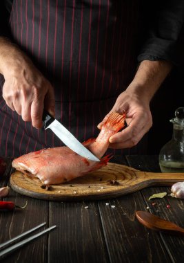 Professional chef prepares fresh Sebastes fish. Preparing to cook fish food. Cook cuts with knife a red fish.