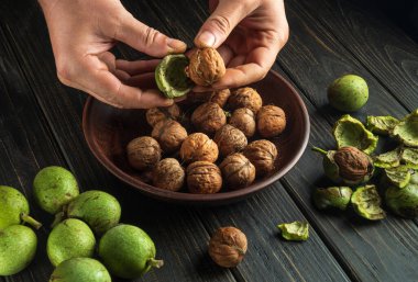 Peeling walnuts from green peel before harvesting. Close-up of the chef's hands on the kitchen table. Copy space
