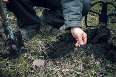Finding old coins with a metal detector. The man dug up an antique coin. Fortuna during the instrumental search for antiquities