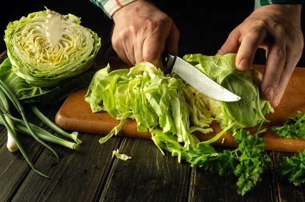 stock image The hands of the chef are cutting fresh cabbage with a knife on a kitchen cutting board before preparing national or vegetarian dishes.