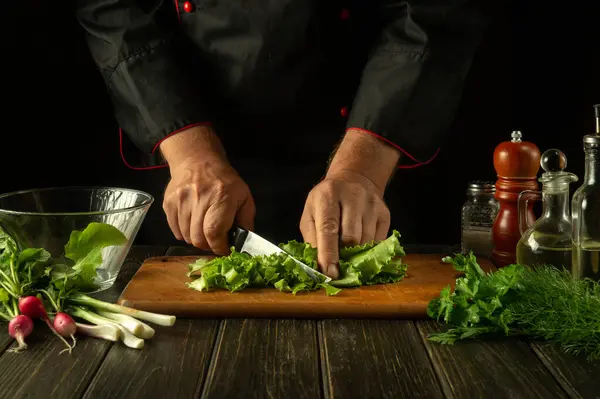 Aşçı restoran mutfağında bir salata hazırlar. Marul 'u kesme tahtasında bıçakla kesen şefin yakın çekimi. Mutfak masasında taze vejetaryen yemeği..