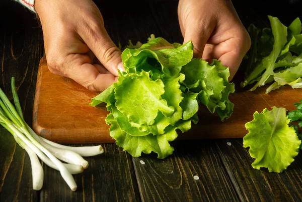 stock image A man prepares lettuce and onion salad on the kitchen table. Healthy vegetarian food by the hands of the cook at home.