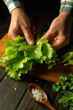Mutfak masasındaki aşçı öğle yemeği için vejetaryen yemeği hazırlamadan önce marul yapraklarını ayırır. Salata hazırlarken şefin ellerinin yakın çekimi..