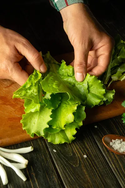 stock image The chef selects lettuce leaves before preparing a vegetarian meal for lunch. Close-up of a cook hands while preparing a salad at home. Peasant food.