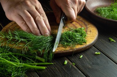 Şef vejetaryen yemeği hazırlamadan önce mutfak tahtasıyla taze rezene keser. Rezene hasat ve konserve konservesi konsepti.