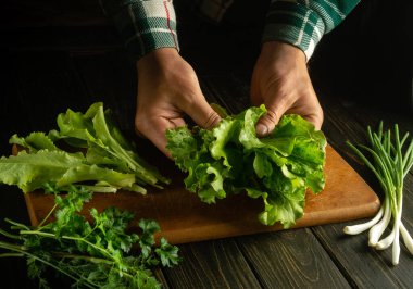 Mutfak masasında vejetaryen yemeği pişirmek. Aşçının ellerinde yeşil salata yaprakları.